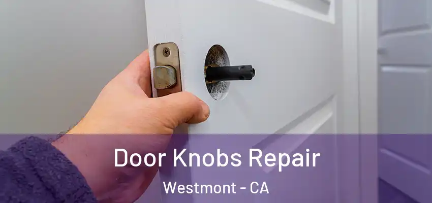  Door Knobs Repair Westmont - CA