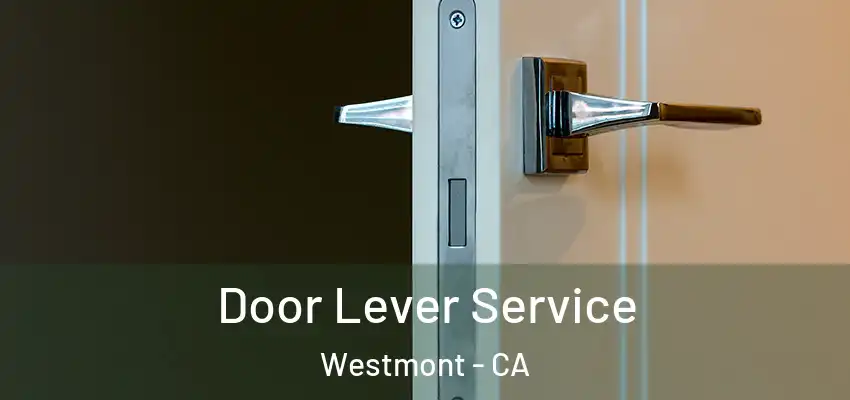 Door Lever Service Westmont - CA