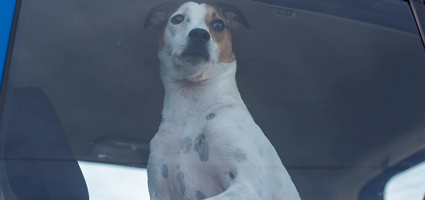 Car Lockout Solutions in Westmont, California