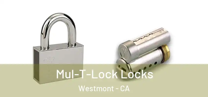  Mul-T-Lock Locks Westmont - CA