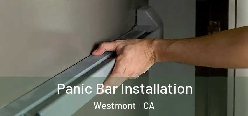 Panic Bar Installation Westmont - CA