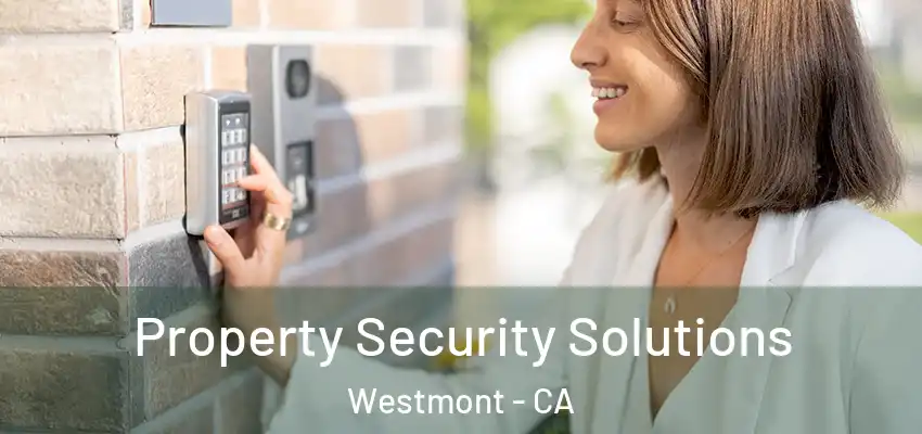  Property Security Solutions Westmont - CA